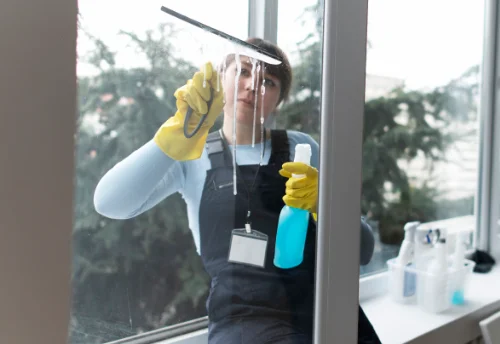 Nettoyage de vitres intérieures et extérieures à Gisy-les-Nobles